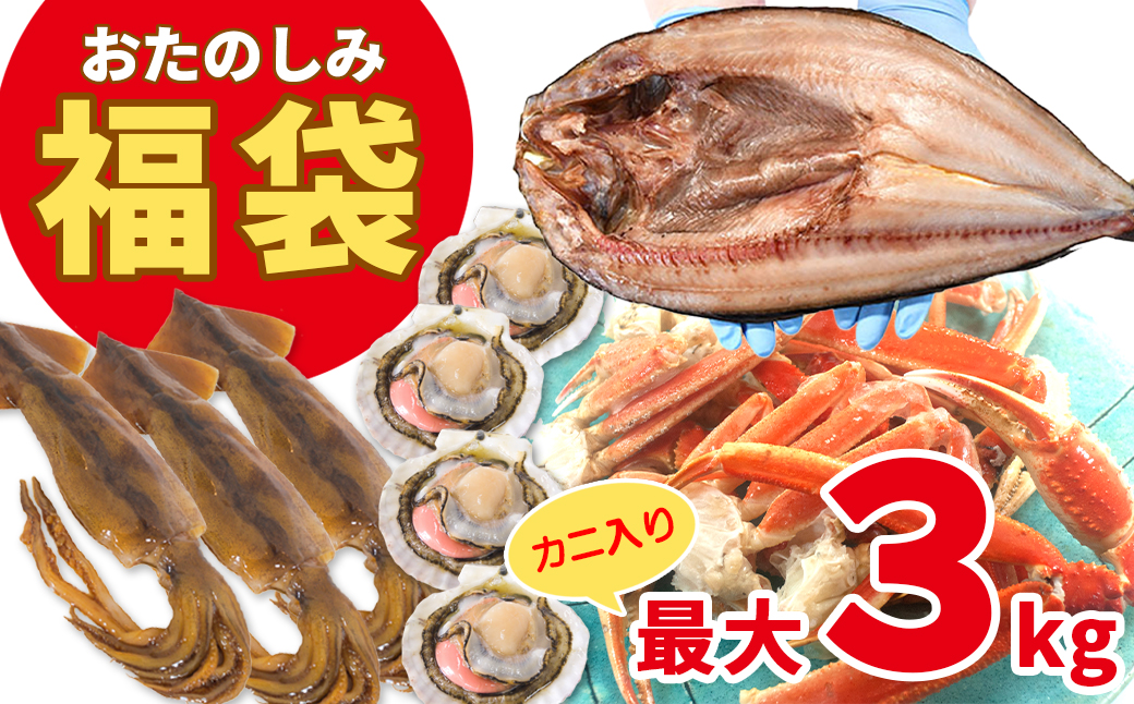 北海道の海鮮[おたのしみ福袋] 訳あり ズワイガニ入り 冷凍 5種 最大2.5〜3kg 魚 魚介 訳あり 蟹 カニ かに 魚 魚介 訳あり 蟹 カニ かに 魚 魚介 訳あり 蟹 カニ かに 魚 魚介 訳あり 蟹 カニ かに 魚 魚介 訳あり 蟹 カニ かに 魚 魚介 訳あり 蟹 カニ かに 魚 魚介 訳あり 蟹 カニ かに 魚 魚介 訳あり