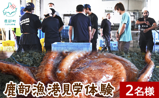 鹿部漁港見学体験 2名様分 道の駅しかべ間歇泉公園 入園券