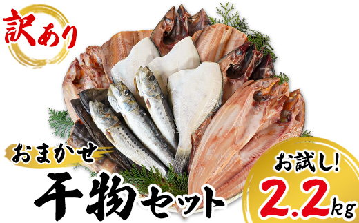 【順次発送】訳あり 干物 詰め合わせセット 2.2kg 真ホッケ