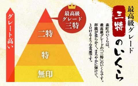 「三特」鮭いくら醤油漬北海道産（約100g×6パック） ＜ワイエスフーズ＞ いくら醤油漬け いくら イクラ 小分け しょうゆ漬け 海産物 加工品 森町 ふるさと納税 北海道  mr1-0001