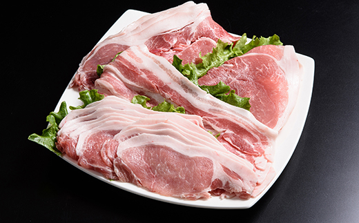 北海道産熟成豚肉セット約2.6kg＜(株)ヤマイチ佐々木精肉畜産＞ 森町 豚肉 ロース バラ 焼肉 セット 肩 モモ ふるさと納税 北海道 mr1-1084