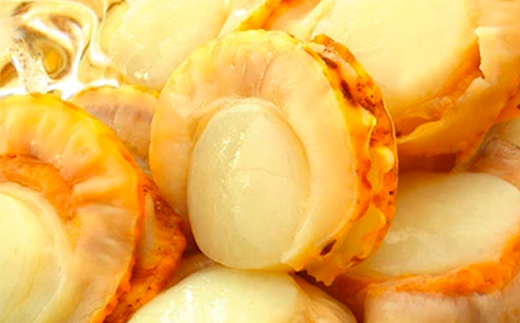 噴火湾産 冷凍ベビーほたて約1kg×6袋 合計6kg＜海鮮問屋　株式会社　瑞宝＞ 海鮮丼 森町 ほたて 帆立 ホタテ 海産物 魚貝類 ふるさと納税 北海道 mr1-0521