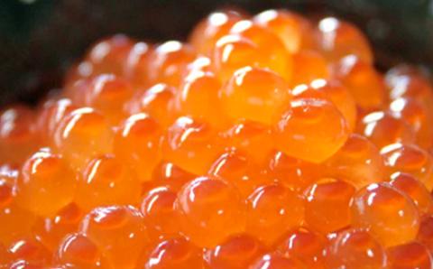 北海道噴火湾産醤油いくら400g ＜海鮮問屋　株式会社　瑞宝＞ いくら醤油漬け いくら イクラ しょうゆ漬け 海産物 加工品 森町 ふるさと納税 北海道 mr1-0091