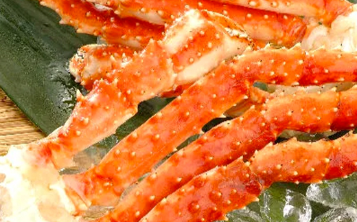 冷凍たらばがに足1.2kg×4肩＜海鮮問屋　株式会社　瑞宝＞ かに カニ 蟹 ガニ がに 森町 ふるさと納税 北海道 たらばがに タラバ蟹 タラバカニ タラバガニ たらば蟹 mr1-0538