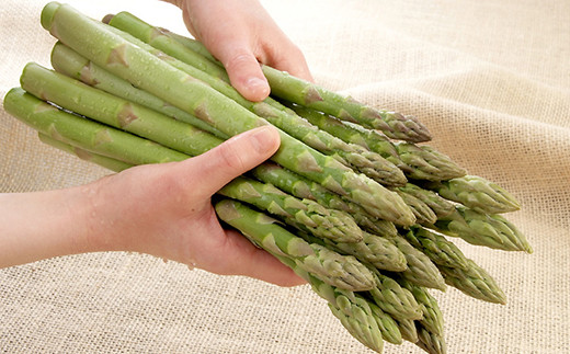 【先行予約】北海道森町産 グリーンアスパラL～2Lサイズ1kg （2026年4月下旬頃～7月上旬頃順次発送）＜道産ネットミツハシ＞ アスパラガス アスパラ 野菜 産地直送 ふるさと納税 mr1-0810