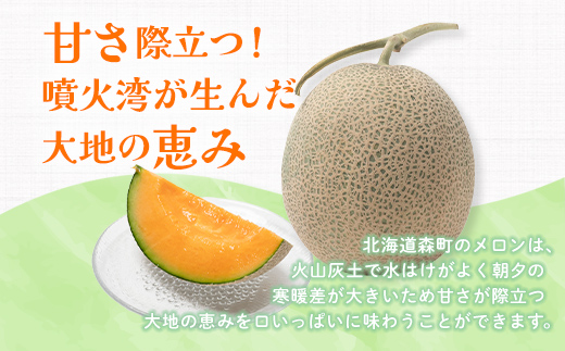 【先行予約】北海道森町産赤肉メロン大玉 1玉（約1.6～2kg）（2026年6月上旬～8月上旬頃に順次お届け）＜道産ネットミツハシ＞  森町 メロン 果物 赤肉 北海道産 mr1-0815