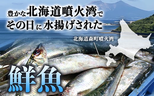 北海道森町産 噴火湾とれたて鮮魚福袋4kg以上 アブラコ（アイナメ） カレイ類 カジカ ソイ ガヤ ニシン 福袋 鮮魚 海鮮 セット 焼き魚 煮付け 鍋 ふるさと納税 北海道 森町 mr1-0149