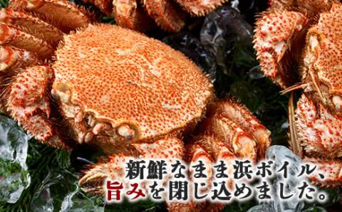 前浜茹で毛がに3尾（約380～440g） ＜株式会社 鳥潟＞ かに カニ 蟹 ガニ がに 森町 北海道 毛蟹 毛かに 毛ガニ 毛カニ 北海道 ズワイカニ ズワイ蟹 ズワイガニ mr1-0153