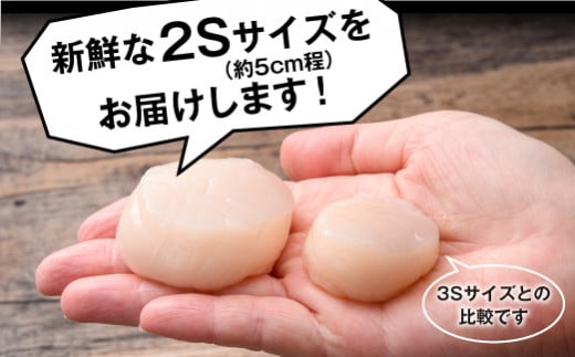 【北海道噴火湾産】2Sサイズ冷凍ほたて貝柱（36～40個入り）1kg 海鮮丼 森町 ほたて 帆立 ホタテ 海産物 魚貝類 ふるさと納税 北海道 mr1-1139