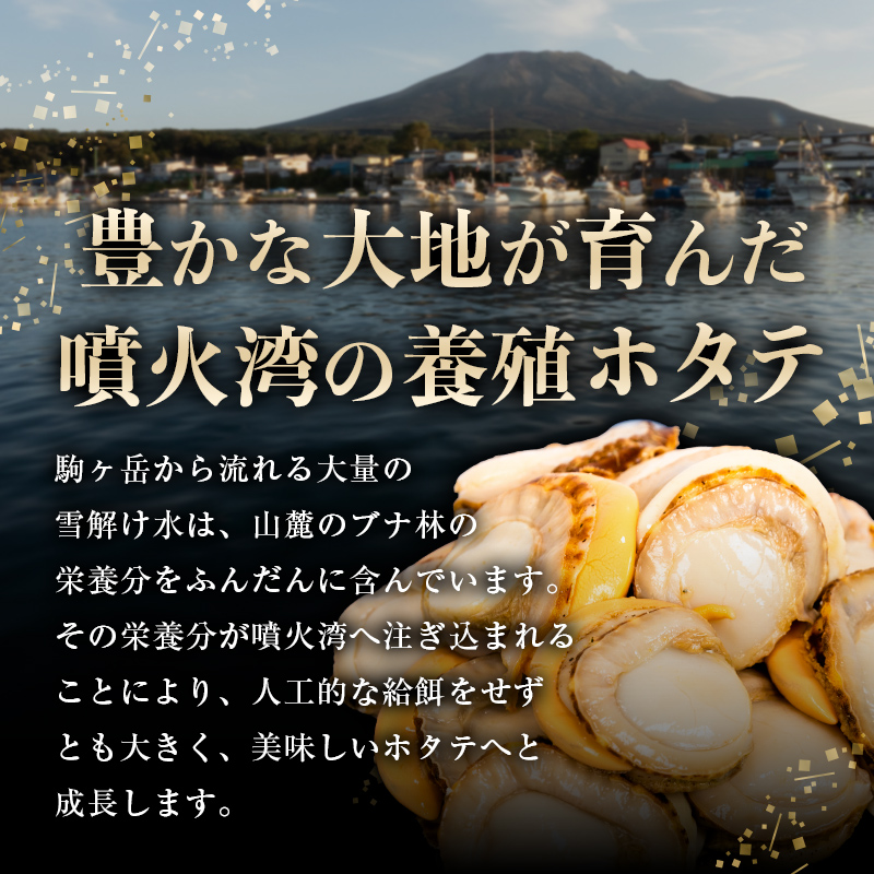 【訳あり】北海道噴火湾産蒸しほたて 800g サイズ不選別 ＜カネキチ澤田水産＞ 森町 ほたて 帆立 ホタテ 海産物 魚貝類 ふるさと納税 北海道 mr1-0927