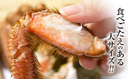 【北海道産】 浜ゆで毛ガニ×1尾＜道産ネットミツハシ＞ かに カニ 蟹 ガニ がに 森町 ふるさと納税 北海道 毛蟹 毛かに 毛ガニ 毛カニ mr1-0807