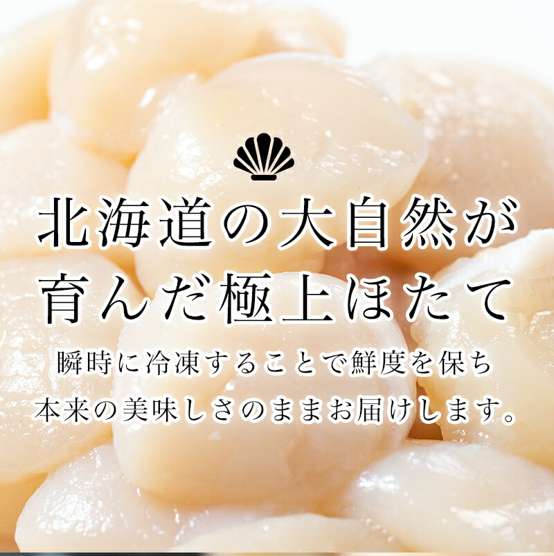 北海道産冷凍ホタテ貝柱大（500g×2パック）「1kg」 ＜ワイエスフーズ＞ 小分け チャック付き 海鮮丼 森町 魚貝類 帆立 ホタテ ほたて 魚介類 貝 ふるさと納税 北海道 訳あり mr1-1232