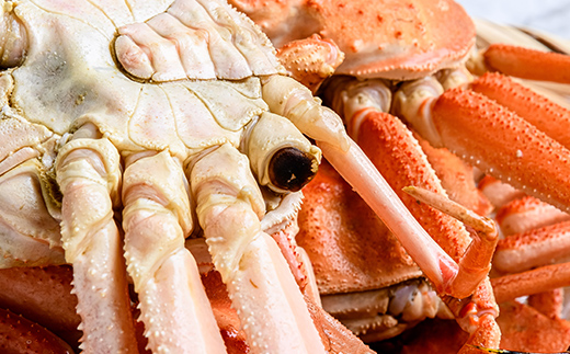  【訳あり】オオズワイガニ（ボイル済） 約2.0kg （オスメスどちらか）＜海鮮問屋　株式会社　瑞宝＞ ズワイガニ かに カニ 蟹 ガニ がに 海鮮 森町 北海道 mr1-0919