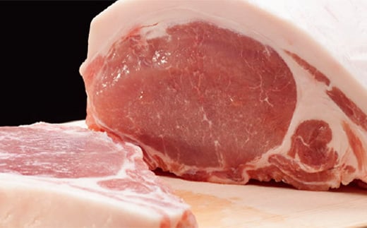 【北海道育ち ひこま豚】豚ロース肉1.2kg カツ・ポークソテー用 ＜酒仙合縁 百将＞ 森町 豚肉 とんかつ ポーク 北海道産 ふるさと納税 北海道 mr1-0331