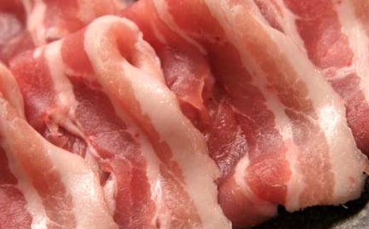 【北海道育ち ひこま豚】豚バラ肉1.2kg 焼肉・サムギョプサル用 ＜酒仙合縁 百将＞ 森町 豚肉 焼肉 バラ肉 北海道産 ふるさと納税 北海道 mr1-0334