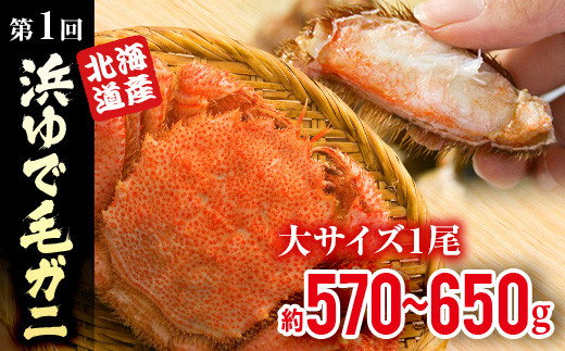 『定期便』浜ゆで毛ガニ×1尾・森町ポーク焼肉セット（900g）全2回 ＜道産ネットミツハシ＞ 森町 豚肉 ロース バラ 焼肉 毛ガニ 毛蟹 セット ふるさと納税 北海道 mr1-0354