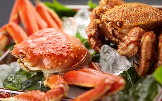 ずわいがに毛がに2尾セット 北海道森町水揚げ かに カニ 蟹 ガニ がに 森町 ふるさと納税 北海道 毛蟹 毛かに 毛ガニ 毛カニ 北海道 ズワイカニ ズワイ蟹 ズワイガニ mr1-1081