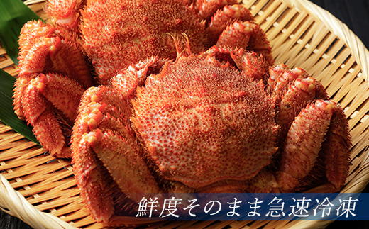 北海道・噴火湾産 冷凍ボイル毛ガニ 400g前後×4尾＜海鮮問屋　株式会社　瑞宝＞ かに カニ 蟹 ガニ がに 森町 ふるさと納税 北海道 毛蟹 毛かに 毛ガニ 毛カニ mr1-0950