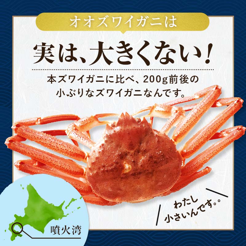【訳あり】北海道噴火湾産 活オオズワイガニ 3.0kg ＜道産ネットミツハシ＞ かに カニ 蟹 ガニ がに 森町 ふるさと納税 北海道 ずわいがに mr1-0451-5