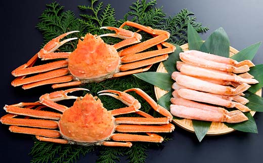 ずわいがに姿（約450～500g）2尾＋ずわいがにポーション（約300g） セット 北海道森町水揚げ かに カニ 蟹 ガニ がに 森町 ふるさと納税 北海道 ずわいかに ズワイガニ mr1-1077