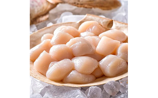 北海道産!新鮮・刺身用1.6kgの貝柱＜海鮮問屋　株式会社　瑞宝＞ 海鮮丼 森町 ほたて 帆立 ホタテ 海産物 魚貝類 ふるさと納税 北海道 mr1-1245