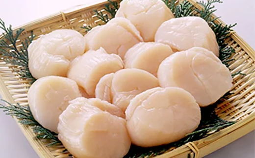 北海道産!新鮮・刺身用3.2kgの貝柱＜海鮮問屋　株式会社　瑞宝＞ 海鮮丼 森町 ほたて 帆立 ホタテ 海産物 魚貝類 ふるさと納税 北海道 mr1-1247