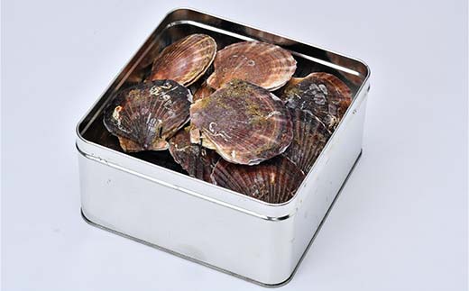 冷凍ほたて(二年貝) ガンガン焼き1.5kg 北海道噴火湾産 海産物 加工品 ほたて 帆立 ホタテ 魚介類 海鮮 森町 ふるさと納税 mr1-0980