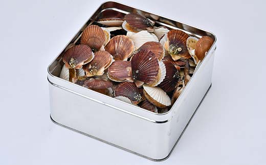 冷凍 稚貝ほたてのガンガン焼き 1.5kg 北海道噴火湾産 海産物 加工品 ほたて 帆立 ホタテ 魚介類 海鮮 森町 ふるさと納税 mr1-0981