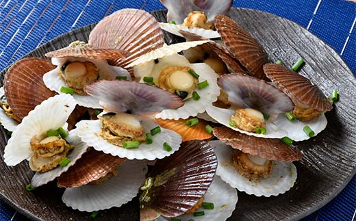 冷凍殻付き稚貝ほたて 3kg 北海道噴火湾産（段ボールまたは発泡入り） 海産物 加工品 ほたて 帆立 ホタテ 魚介類 海鮮 森町 ふるさと納税 mr1-0984