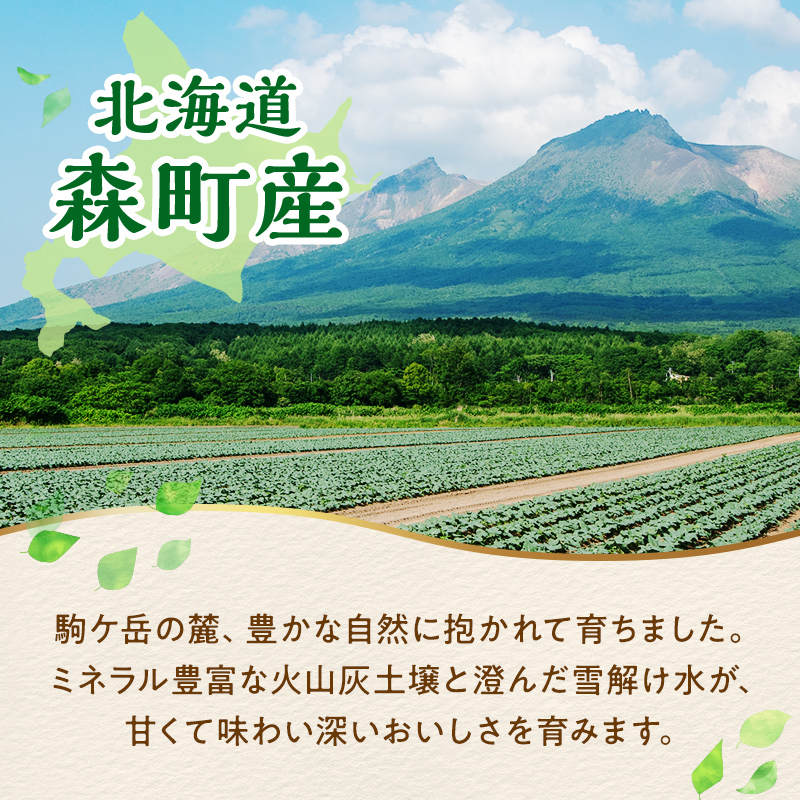 【12ヶ月定期便】小分け カット済み ブロッコリー 冷凍 2.4kg×12回 北海道森町産 野菜 おかず お弁当 便利 小分け カット済み ブロッコリー 冷凍 mr1-1010