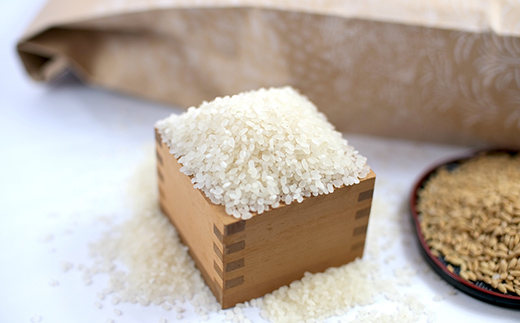 令和7年産 新米 ゆめぴりか 5kg 米 北海道森町濁川産 精米（10月上旬以降順次発送） 森町 こめ お米 米 白米 ゆめぴりか 北海道米 北海道産 北海道 mr1-1155