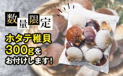 【バリュー品】北海道産刺身用冷凍不選別フレークホタテ貝柱500g＋ 噴火湾産ホタテ稚貝300gセット ＜海鮮問屋　株式会社　瑞宝＞ 森町 ほたて 帆立 ホタテ 海産物 魚貝類 おつまみ 海鮮丼 魚介類 貝柱 ふるさと納税 北海道 訳あり mr1-1257