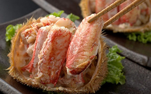 【訳あり】北海道 浜茹で毛がに450～550g 2尾 〈ワイエスフーズ〉 かに カニ 蟹 ガニ がに 森町 ふるさと納税 北海道 毛蟹 毛かに 毛ガニ 毛カニ mr1-0913