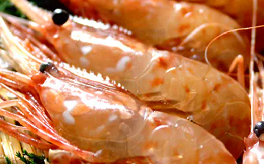 『新物』北海道噴火湾産冷凍ボタンエビメス400gと玉冷ほたて400gセット ＜海鮮問屋　株式会社　瑞宝＞  えび エビ 海老 ぼたんえび ボタン海老  海産物 帆立 ホタテ 魚介類 海鮮 森町 ふるさと納税 北海道 mr1-0528