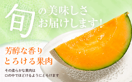 【先行予約】北海道森町産赤肉メロン大玉 1玉（約1.6～2kg）（2026年6月上旬～8月上旬頃に順次お届け）＜道産ネットミツハシ＞  森町 メロン 果物 赤肉 北海道産 mr1-0815