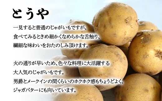 【先行予約】【訳あり】北海道森町産 じゃがいも福袋20kg （2026年8月上旬～12月中旬まで順次お届け） 野菜 ジャガイモ じゃがいも きたあかり だんしゃく 男爵いも とうや メークイン ポテト 北海道 セット 詰め合わせ 福袋 mr1-0145