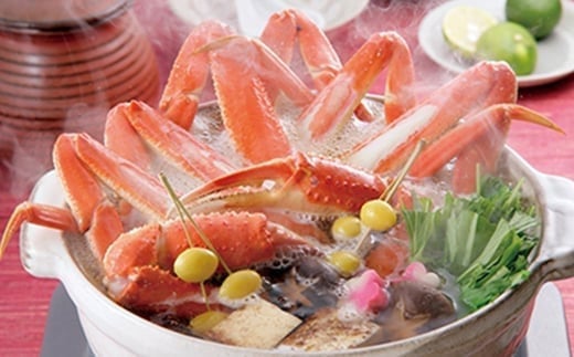 【順次発送】 ずわいがに姿 600～650g前後 4尾 ＜ワイエスフーズ＞ かに カニ 蟹 ガニ がに 森町 ふるさと納税 北海道 ずわいがに ずわいかに ズワイガニ mr1-0853-1