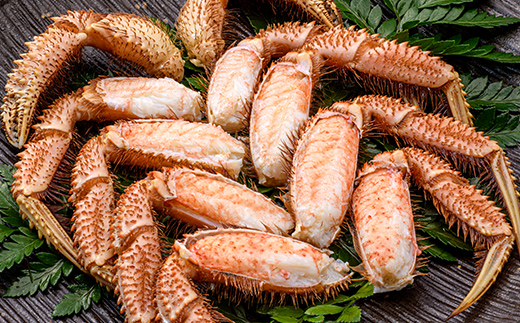 北海道噴火湾産「カネキチ」 浜ゆで毛ガニ 3尾 450g～500g＜カネキチ澤田水産＞ かに カニ 蟹 ガニ がに 森町 ふるさと納税 北海道 毛蟹 毛かに 毛ガニ 毛カニ mr1-1064