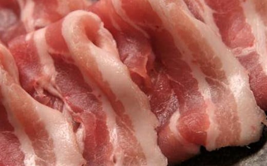 【北海道育ち ひこま豚】バラエティーセット1.2kg 焼肉・しゃぶしゃぶ・カツなど ＜酒仙合縁 百将＞ 森町 豚肉 とんかつ すき焼き 焼肉 ふるさと納税 北海道 mr1-0326