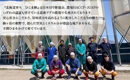 【北海道育ち ひこま豚】豚肩ロース肉1.2kg しゃぶしゃぶ・すき焼き用 ＜酒仙合縁 百将＞ 森町 しゃぶしゃぶ すき焼き 北海道産 ふるさと納税 北海道 mr1-0332