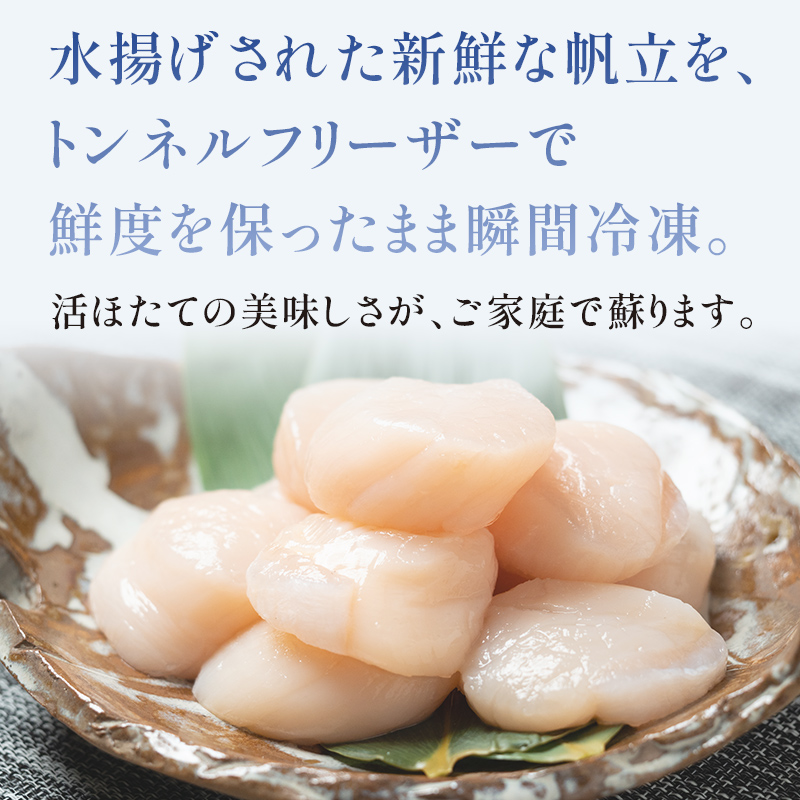 北海道産 冷凍ホタテ貝柱大 （500g×3パック）「1.5kg」 ＜ワイエスフーズ＞ 小分け チャック付き 海鮮丼 森町 魚貝類 帆立 ホタテ ほたて 魚介類 貝 ふるさと納税 北海道 訳あり mr1-1233