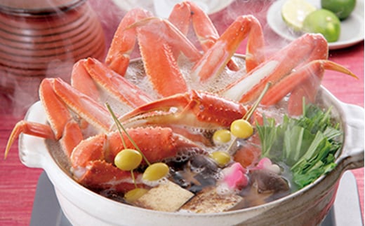 【順次発送】 ずわいがに姿 600～650g前後 1尾 ＜ワイエスフーズ＞ かに カニ 蟹 ガニ がに 森町 ふるさと納税 北海道 ずわいがに ずわいかに ズワイガニ mr1-0852-1