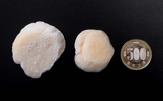 保存便利なジッパー付【訳あり】冷凍ホタテ貝柱 1kg【旨味凝縮】 ＜ワイエスフーズ＞ 森町 魚貝類 帆立 ホタテ ほたて 魚介類 貝 ふるさと納税 北海道 mr1-1157