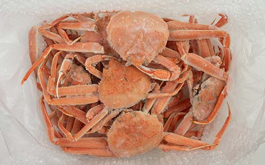 【順次発送】【訳あり】浜茹でオオズワイガニ 2.0kg 詰め込みセット 北海道噴火湾産 ＜道産ネットミツハシ＞ かに カニ 蟹 がに 北海道 森町 ふるさと納税 mr1-1191