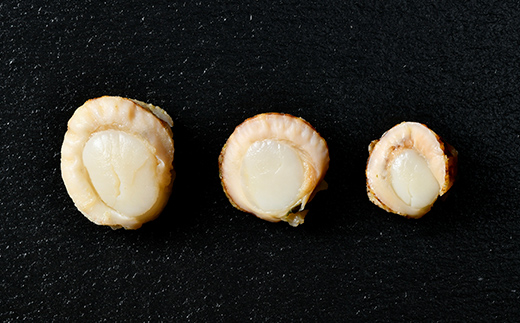 【訳あり】北海道・噴火湾産冷凍ベビーボイルほたて（サイズ不選別品）1.5kg（500g×3）噴火湾 ホタテ ベビーホタテ ほたて 帆立 mr1-0910