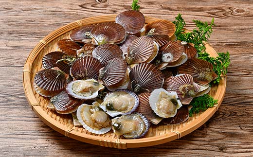 冷凍 稚貝ほたてのガンガン焼き 1.5kg 北海道噴火湾産 海産物 加工品 ほたて 帆立 ホタテ 魚介類 海鮮 森町 ふるさと納税 mr1-0981