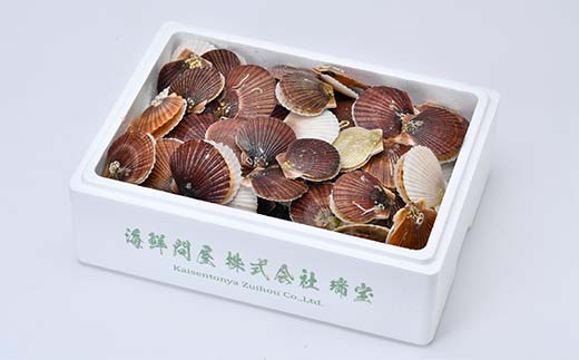 冷凍殻付き稚貝ほたて 3kg 北海道噴火湾産（段ボールまたは発泡入り） 海産物 加工品 ほたて 帆立 ホタテ 魚介類 海鮮 森町 ふるさと納税 mr1-0984