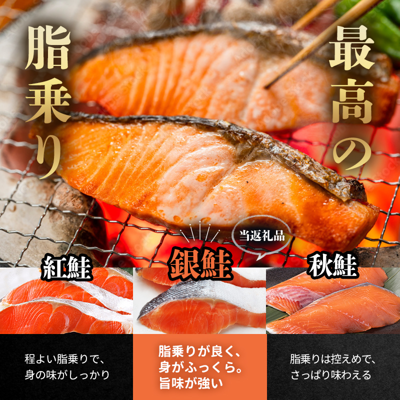塩銀鮭フィレ半身（約1.5～1.7kg） 鮭 さけ サケ 銀鮭 冷蔵 魚 簡単 お好み 北海道 森町 大容量 mr1-1054