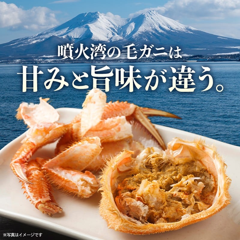 【訳あり】北海道・噴火湾産冷凍ボイル毛ガニ約350g前後×7尾 ＜海鮮問屋　株式会社　瑞宝＞ かに カニ 蟹 ガニ がに 森町 ふるさと納税 北海道 毛蟹 毛かに 毛ガニ 毛カニ mr1-1277