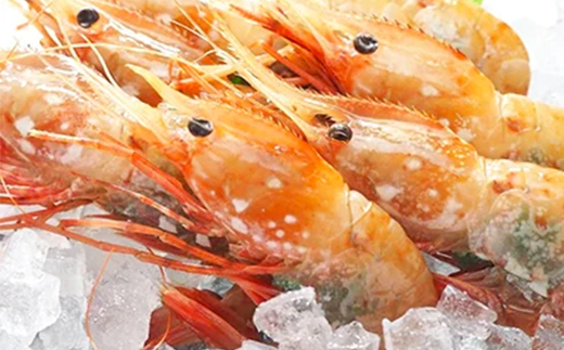 北海道噴火湾産ボタンエビメス400g×2＜海鮮問屋　株式会社　瑞宝＞ えび エビ 海老 ぼたんえび ぼたん海老 ボタン海老 ボタンエビ ぼたんエビ ボタンえび  北海道 森町 mr1-0530